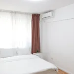 Base I 2 Bedroom Victoriei Appartement