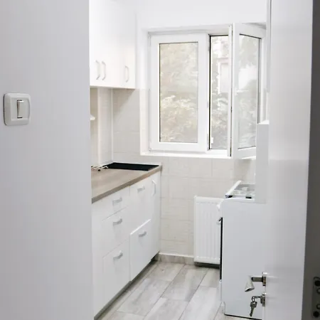 Base I 2 Bedroom Victoriei ブカレスト