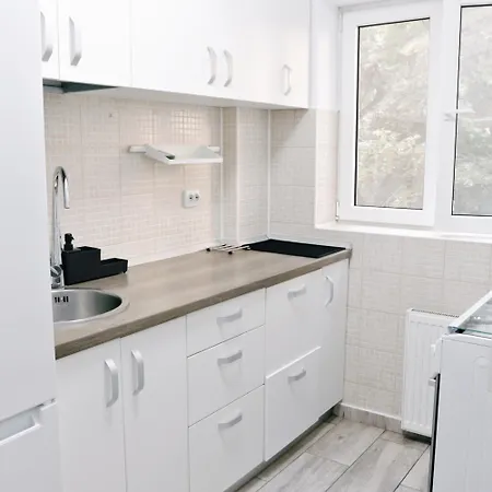 Base I 2 Bedroom Victoriei ブカレスト